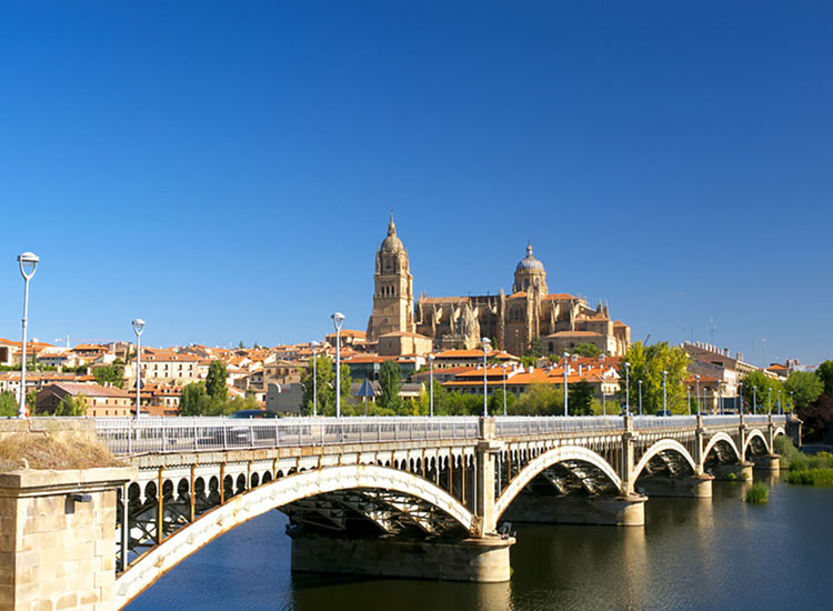 Cathédrale de salamanque en Espagne