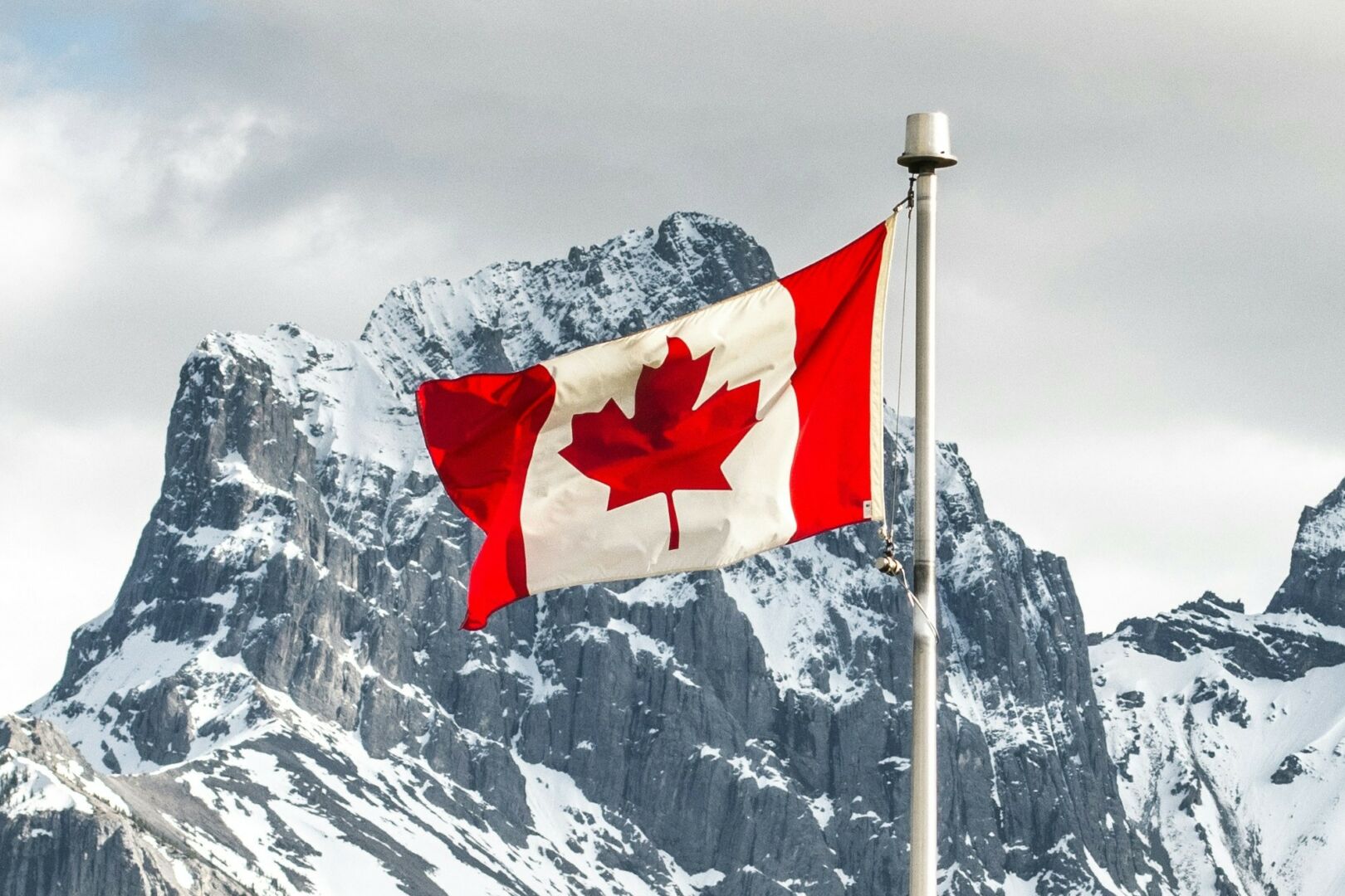 Avis client Terre des Langues Canada